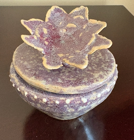 Succulent bowl with lid